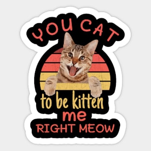 Funny you cat to be kitten me right meow,pinot meow cat wine Sticker